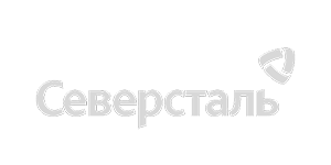 Логотип компании северсталь
